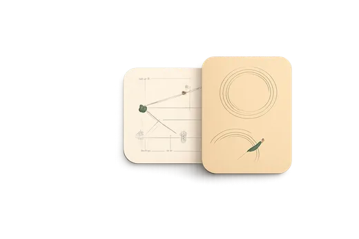 Studio principles for a senior, focused team.